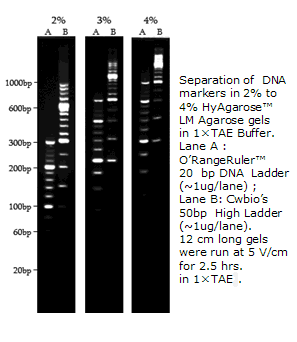 HyAgarose™ c(din)֬